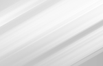 FJL-INT (Inactive)
