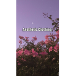 A3$THETIC Clothing 狂気