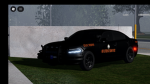 LAW ENFORCEMENT GROU.