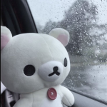 ,kuma
