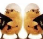 Chickenbros shady and jacky