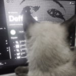 Cat Rainbow Dominus