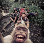 Whole Lotta Monke