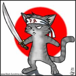 The Epic Ninja Kittehs