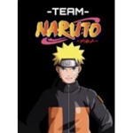 Team Narutoo
