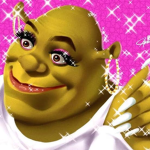 MATERIAL SHREK’S