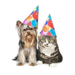 Party Animals Who Loves Animals