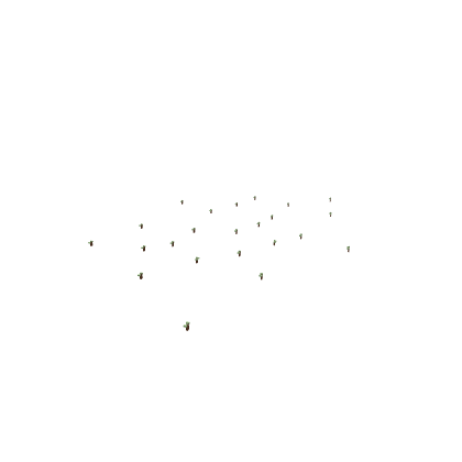 Group of regenerating,infecting zombies