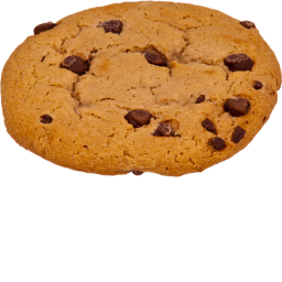 cookie obby