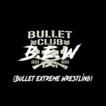 B.E.W / Bullet Extreme Wrestling