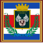 【R.C.R.】Fuerza Aérea de Costa Rica 1940's