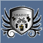 S.H.A.D.O.W stealth organization