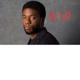 RIP