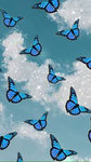 ButterflysGB