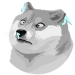 Cold Doge