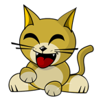 Kitty Cat Nation.