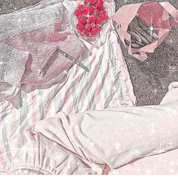 ✧･ﾟ: *✧･ﾟ:*