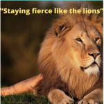 #Team Lion for Life