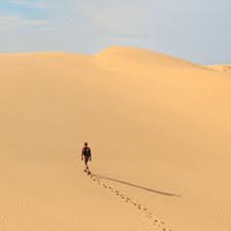 A Wonderous Journey