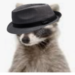 randoms offical group