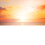 Sunnys sunsets