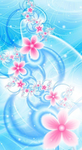 Butterfly dream shop