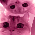 _SUDUM_