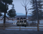 gp equine clothing