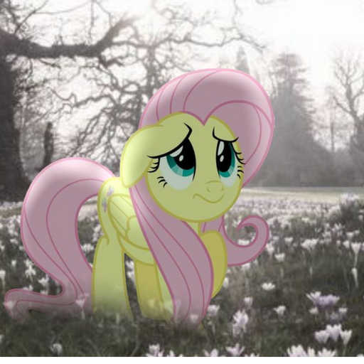 fluttershy's ending..