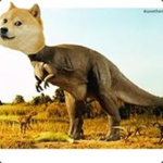 DOGGO REXO