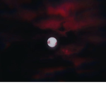 vamp wrld heheh