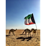 الكويت مافي غيرها