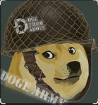 The Doge Power Society