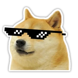doge meme HD
