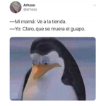 Los fans De mi canal de yt