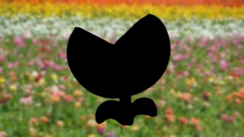 Strange Flower