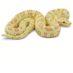 Python Group