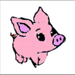 pig's
