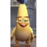 Z A R