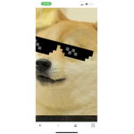 Thedogesarethebest