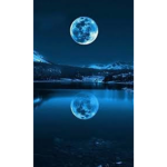 Moon light forever