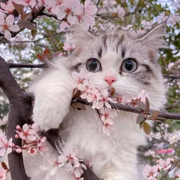 ♡