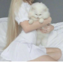 Hello Kitty Obby 🐾