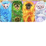 The doggo‘s club!