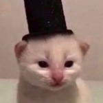 Gentleman Cat Clothing