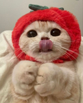 !CLOUD!