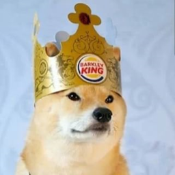 Doge Hangout Kingdom! icon
