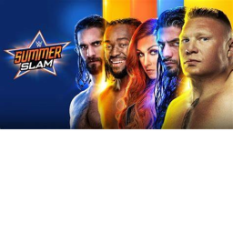 WWE 경기장!