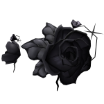 Asymmetrical Black Roses