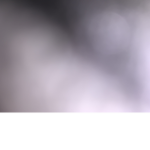 Floraa24